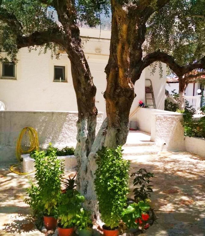 Billy'S Amoudi Apartments Exterior foto